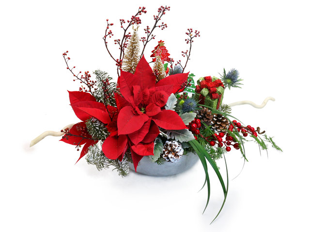 Flower Shop Plants - Mixed Snowy Poinsettia Greetings Plants CM05 - L76610047A Photo